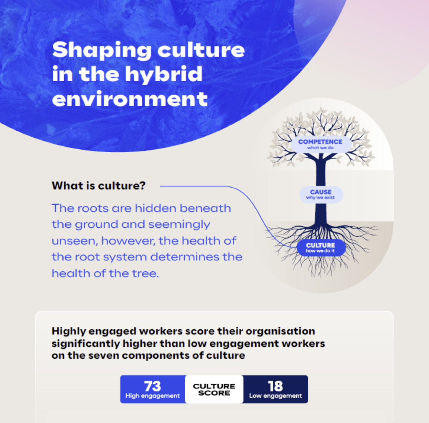 Shaping Culture